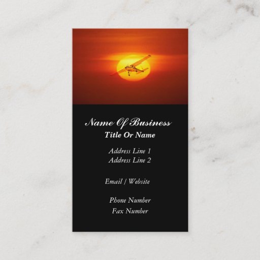 Customizable Pilot Business Card