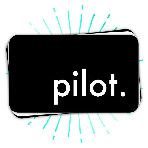 Customizable pilot. business card