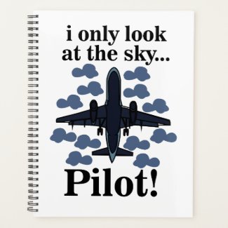 Pilot I Only Look At The Sky Pilot