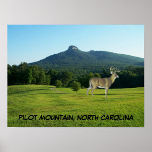 PILOT MOUNTAIN, NORTH CAROLINA POSTER