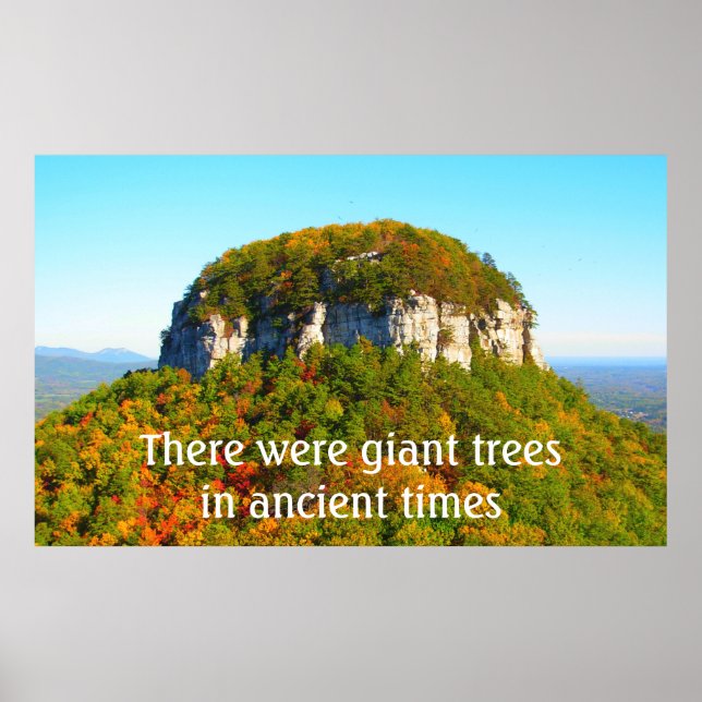 Pilot Mountan Landscape and Trees Poster (Front)