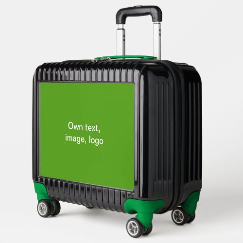 Pilot Suitcase Green
