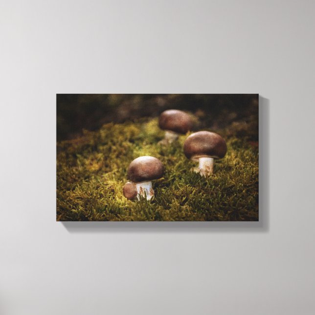 Pilze im Wald Canvas Print (Front)