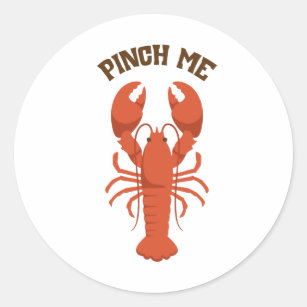 Pinch Stickers  Zazzle