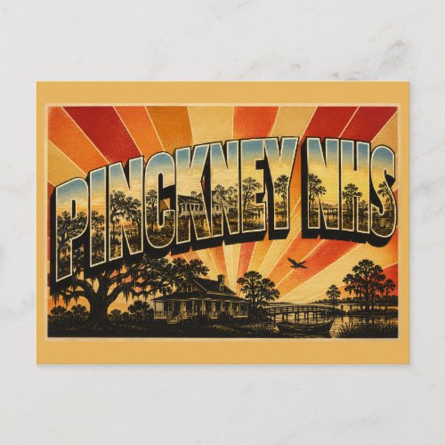 Pinckney NHS SC Live Oak Marsh Plantation Art Postcard