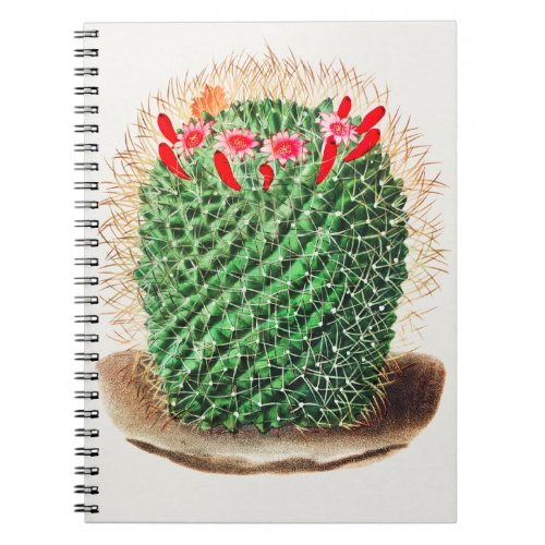 Pincushion Cactus vintage illustrated Notebook