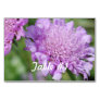Pincushion Flowers Table Number