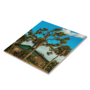 Pine and Palm Trees Ceramic Tile