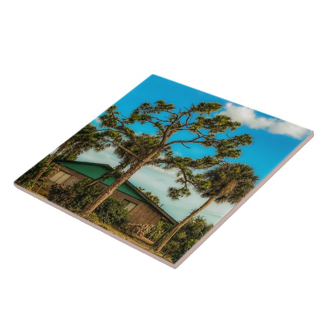 Pine and Palm Trees Ceramic Tile (Side)
