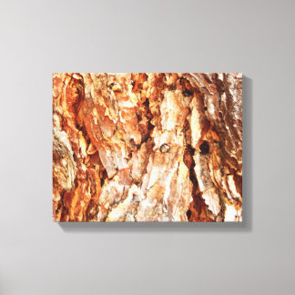 Pine Bark   Canvas Print