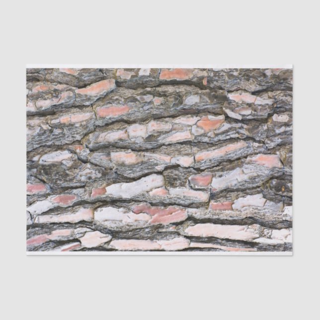 Pine bark pattern tissue paper (Front)