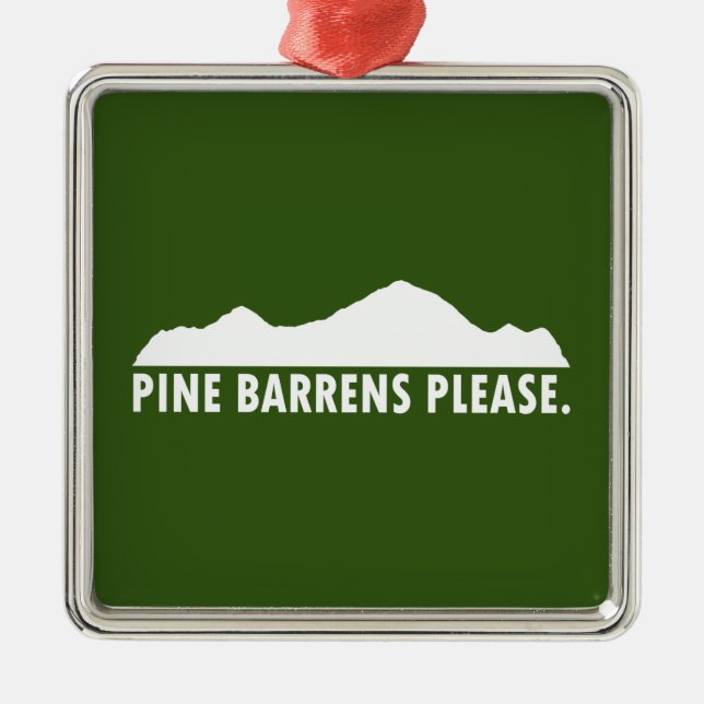 Pine Barrens Please Metal Ornament (Front)