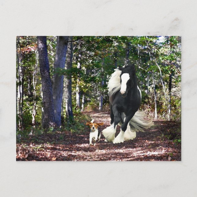 "Pine Barrens Run" Post Card (Front)