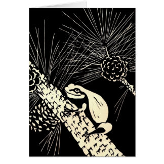 pine barrens tree frog cards