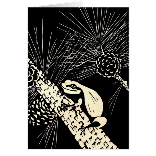 pine barrens tree frog cards (Front)