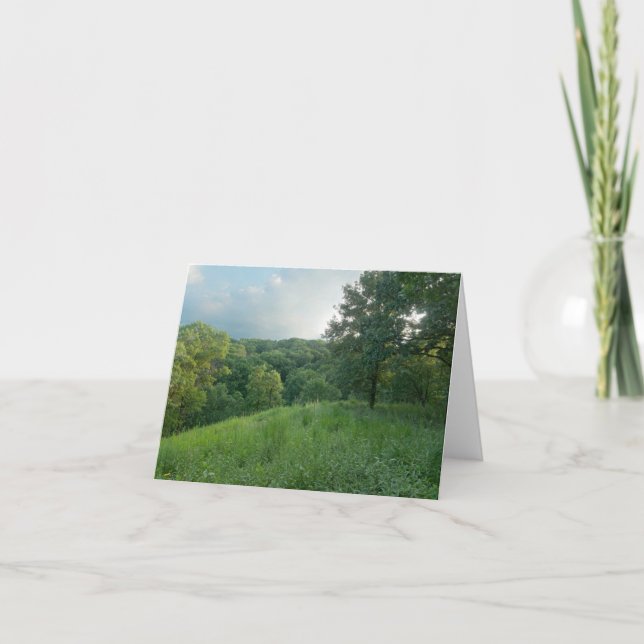 Pine Bend Bluff Overlooking Valley Woodlands Thank You Card (Front)