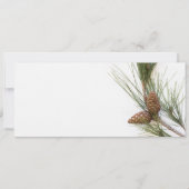 Pine branch and cones (Front)