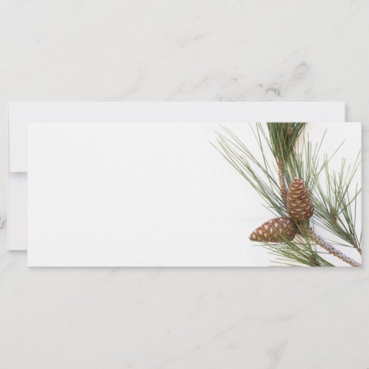 Pine branch and cones (Front)