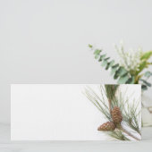 Pine branch and cones (Standing Front)