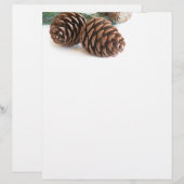 Pine branch and cones (Front/Back)