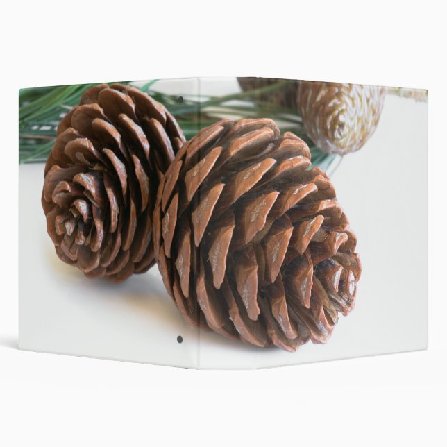 Pine branch and cones 3 ring binder (Background)