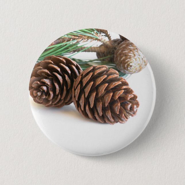 Pine branch and cones button (Front)