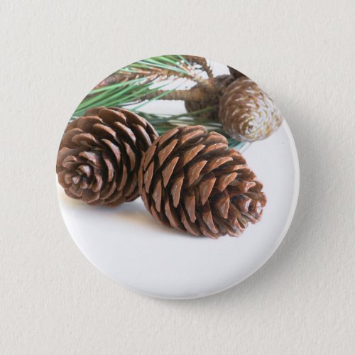 Pine branch and cones button