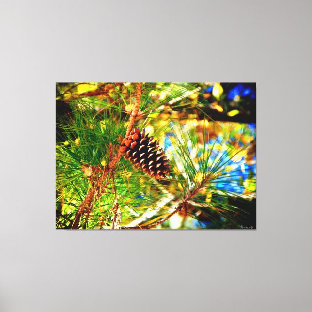 Pine Cone Among Green Needles Canvas Print (Front)