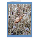 Pine Cone and Flowers in the Grass (Front)