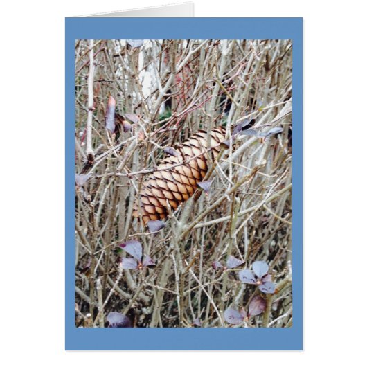 Pine Cone and Flowers in the Grass (Front)