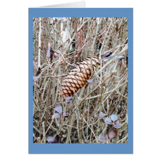 Pine Cone and Flowers in the Grass Cards