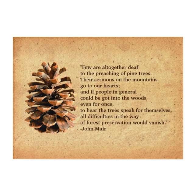 Pine Cone And John Muir Quote Acrylic Print (Front)
