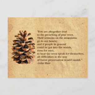 Pine Cone And John Muir Quote Postcard
