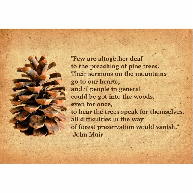 Pine Cone And John Muir Quote Statuette (Front)