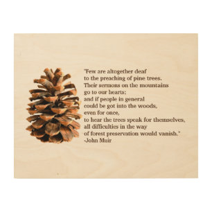 Pine Cone And John Muir Quote Wood Wall Decor