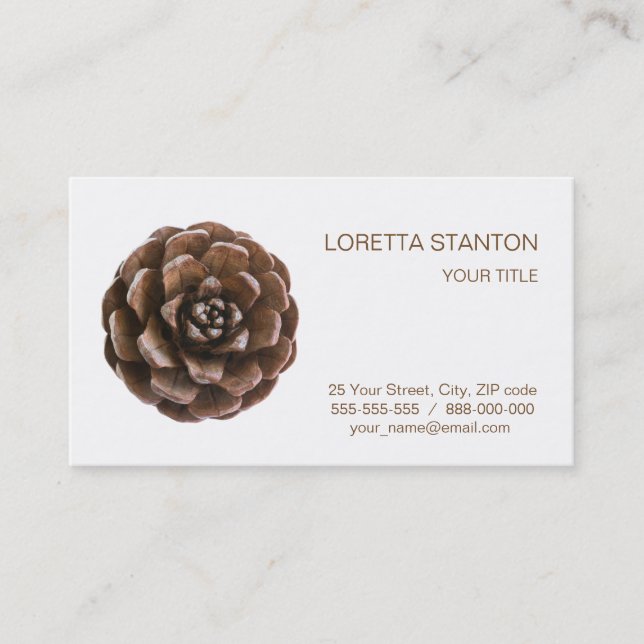 Pine cone business card (Front)