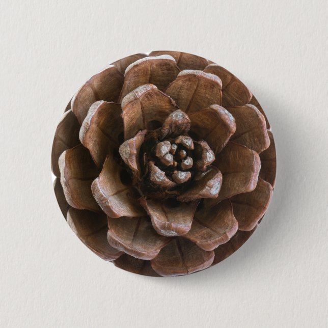 Pine cone button (Front)
