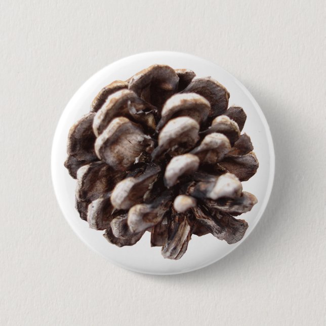 Pine Cone Button (Front)