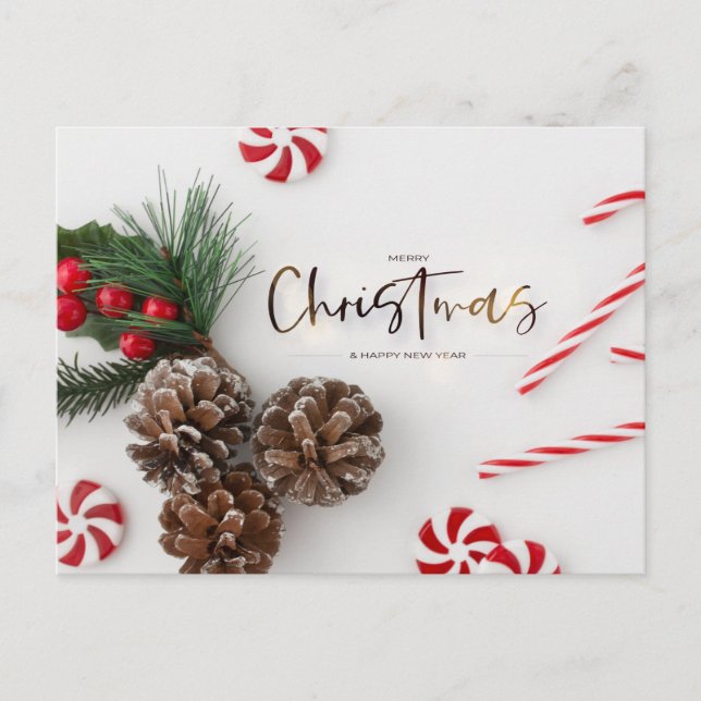  Pine Cone & Candy Cane Greetings Holiday Postcard (Front)