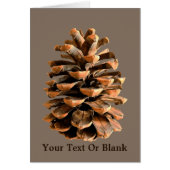 Pine Cone Cards (Front)
