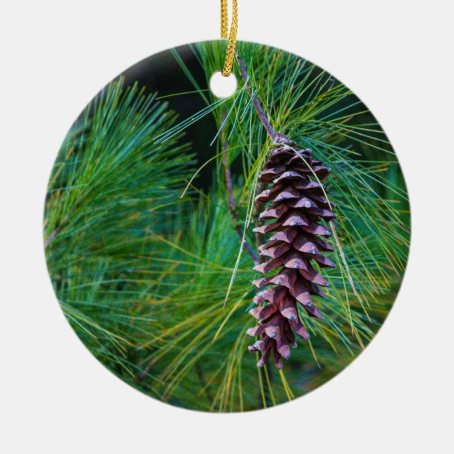 Pine Cone  Ceramic Ornament (Front)