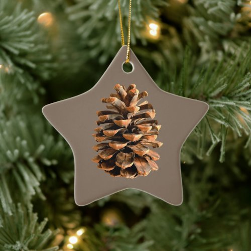 Pine Cone Ceramic Ornament