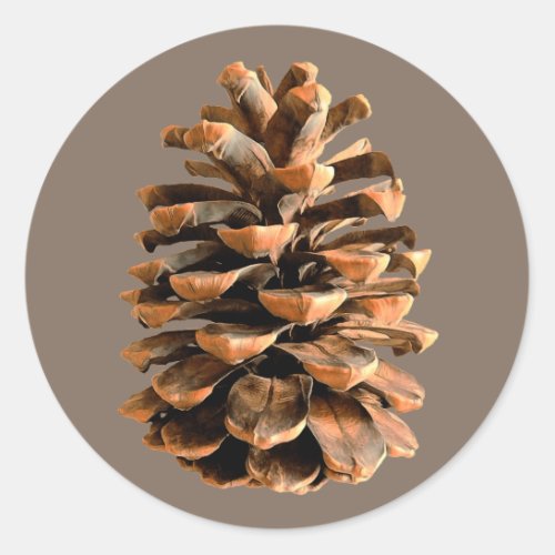 Pine Cone Classic Round Sticker