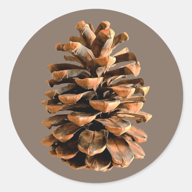 Pine Cone Classic Round Sticker (Front)