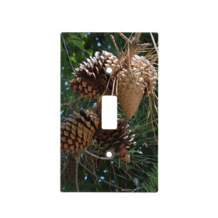 Pine Cone Cluster Light Switch Cover