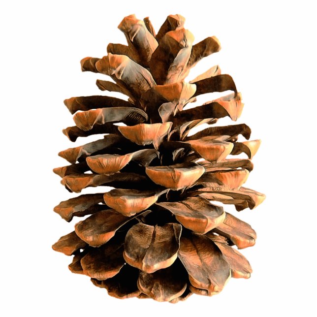 Pine Cone Cutout (Front)