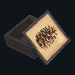 Pine Cone Gift Box<br><div class="desc">A digital rendering of a pine cone from Ma'alot-Tarshiha in northern Israel, the Galilee, superimposed on an old paper background. The Aleppo Pine (Pinus halpensis), also known as the Jerusalem Pine is the only species of wild pine that grows in Israel. It is commonly accepted that the tree now called...</div>
