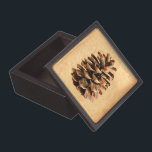 Pine Cone Gift Box<br><div class="desc">A digital rendering of a pine cone from Ma'alot-Tarshiha in northern Israel, the Galilee, superimposed on an old paper background. The Aleppo Pine (Pinus halpensis), also known as the Jerusalem Pine is the only species of wild pine that grows in Israel. It is commonly accepted that the tree now called...</div>