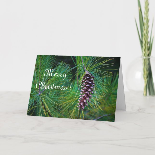 Pine Cone Holiday  Card (Front)