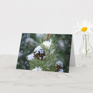 Pine Cone In the Snow Art Christmas Holiday Card